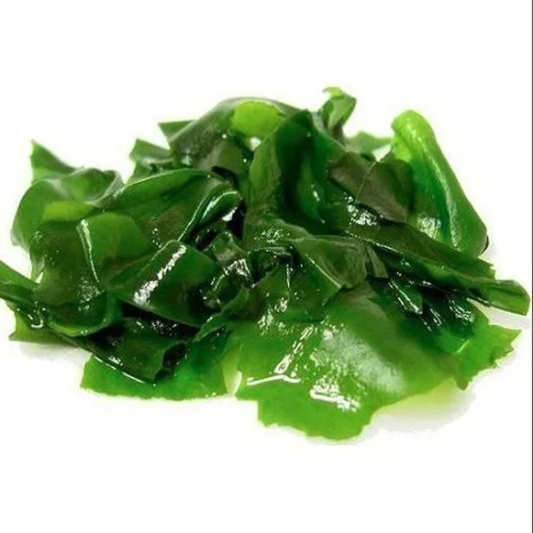 Tegaru Wakame Džiovinti Jūros Dumbliai 19g - Kurakon - Image 2