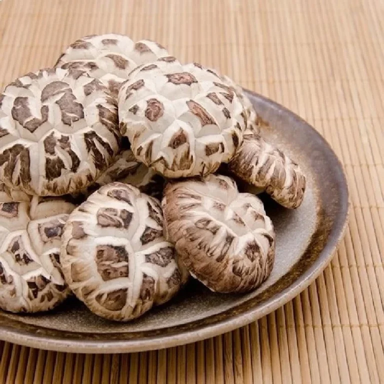 Džiovinti Shiitake Grybai „ Tung Ku” 100g - Mountains - Image 2
