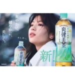 Sokenbicha Grūdų arbata 290ml - Coca Cola