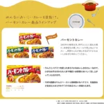 VERMONT Švelnaus aštrumo kario kubeliai 230g - House