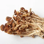 Džiovinti piopino (tuopų) grybai 150g - ChuanZhen