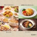 „Vermont Curry“ Vidutinio Aštrumo Japoniško Kario Pagrindas 230g - House