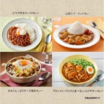 „Vermont Curry“ Vidutinio Aštrumo Japoniško Kario Pagrindas 230g - House