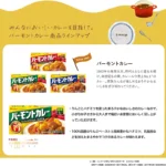 „Vermont Curry“ Vidutinio Aštrumo Japoniško Kario Pagrindas 230g - House
